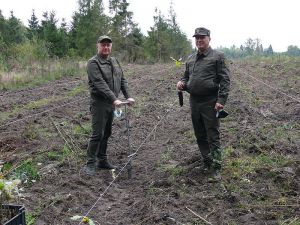 На Вінниччині попри дощ встановили рекорд з висадки дерев